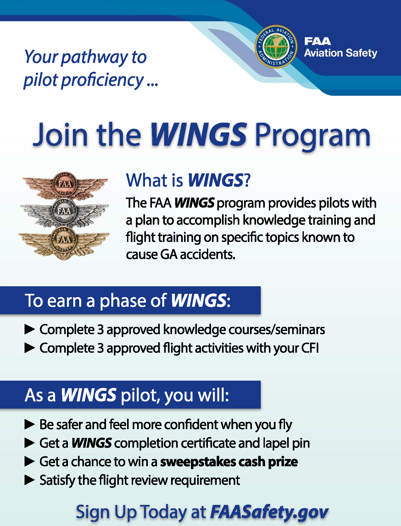 Pilot's Guide to the FAA WINGS Program Flight Training Central
